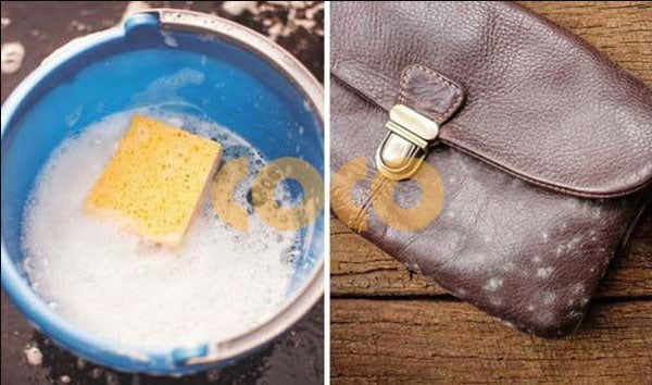 Làm sạch túi da bằng kem đánh răng nhanh và hiệu quả
